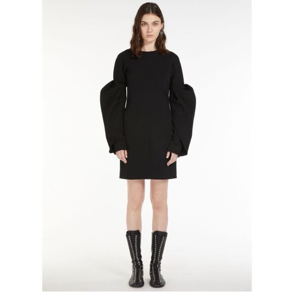 SPORTMAX Long-sleeve Mini Dress - Picture 1 of 7